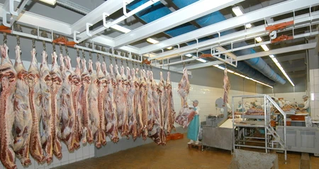 Дезинсекция на мясокомбинате в Долгопрудном, цены на услуги